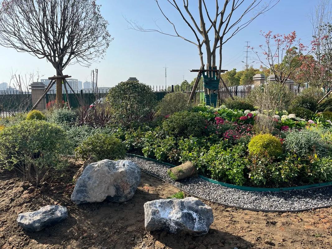 園林綠化工程 #施工現(xiàn)場實(shí)拍