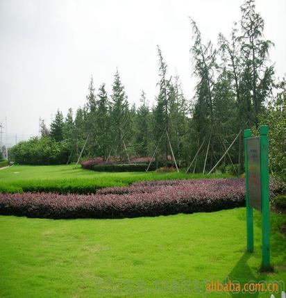 承攬綠化工程、園林施工、園林綠化工程養(yǎng)護(hù)