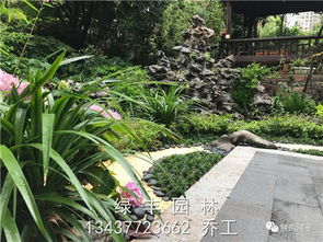 河源東源縣園林綠化苗木電話