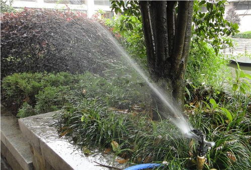 昆明考綠化工證及體育場(chǎng)地設(shè)施工程施工指南 難度、費(fèi)用與準(zhǔn)入解析